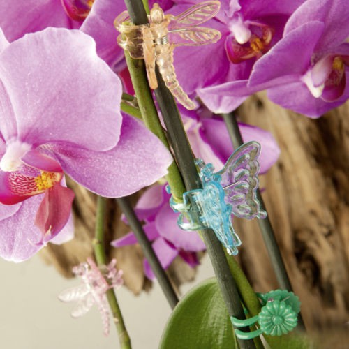 6er-Pack Orchideenclips Libellen und Schmetterlinge